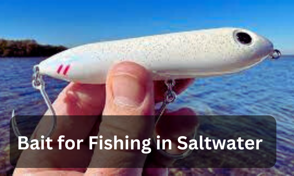 Bait for Fishing in Saltwater