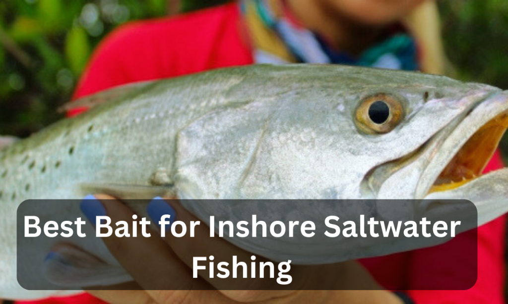 Bait for Inshore Saltwater Fishing