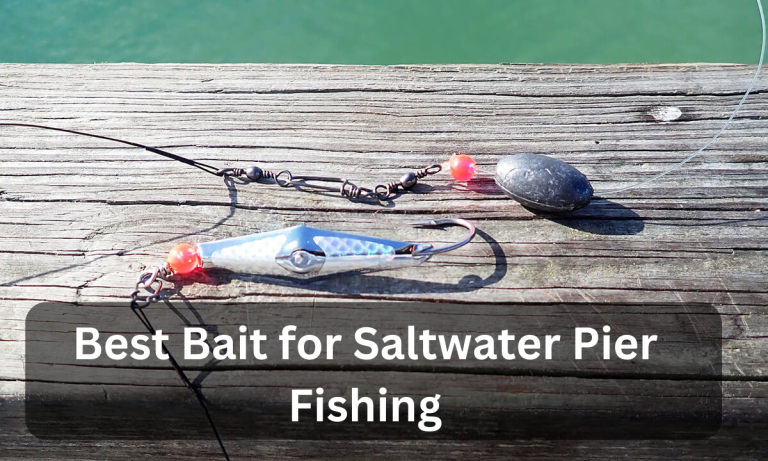 Best Bait for Saltwater Pier Fishing