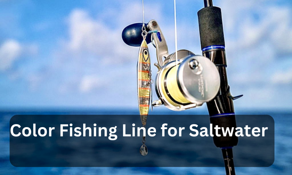 Best Color Fishing Line for Saltwater