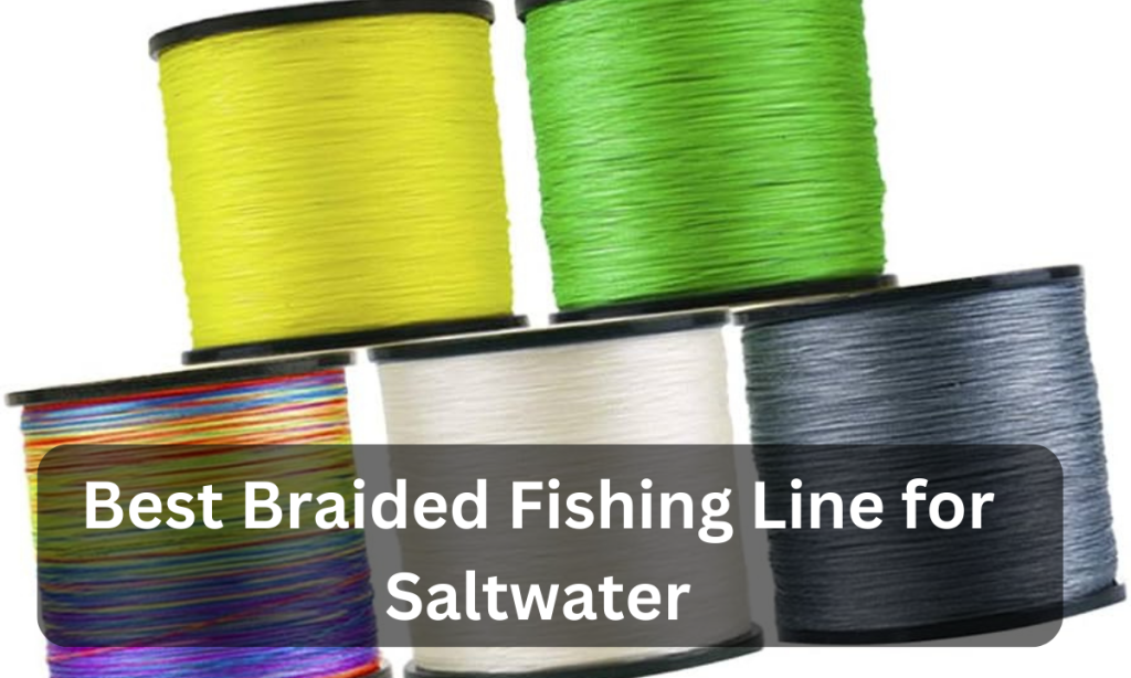 Braided Fishing Line for Saltwater