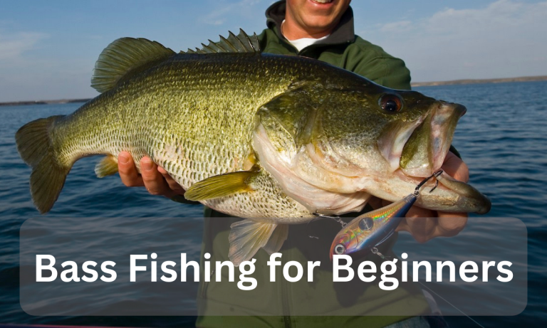Bass Fishing for Beginners
