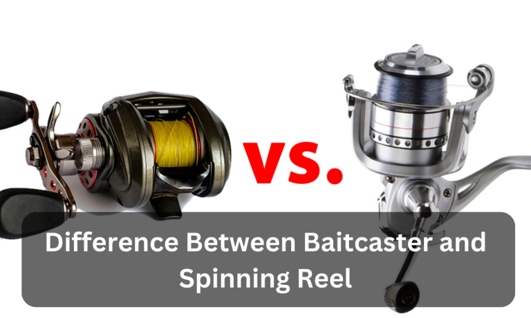Difference Between Baitcaster and Spinning Reel