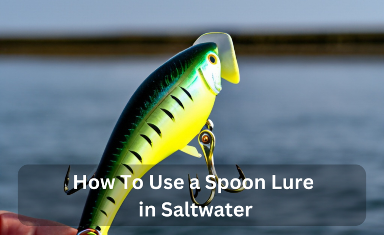 How To Use a Spoon Lure in Saltwater