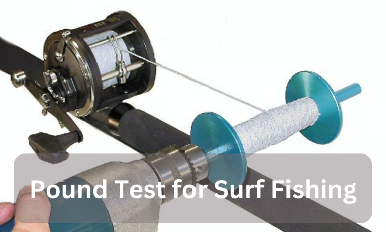 Pound Test for Surf Fishing