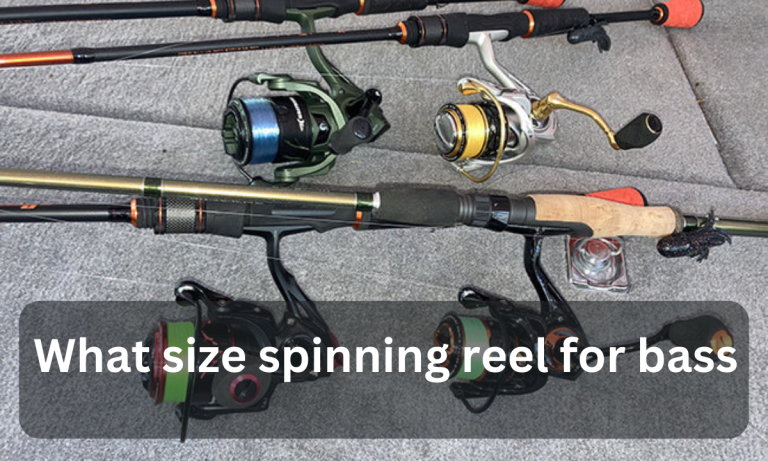 What Size Spinning Reel for Bass