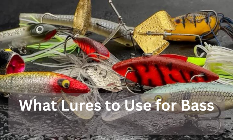What Lures to Use for Bass
