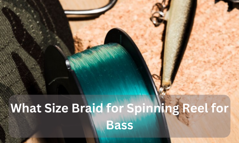 What Size Braid for Spinning Reel for Bass