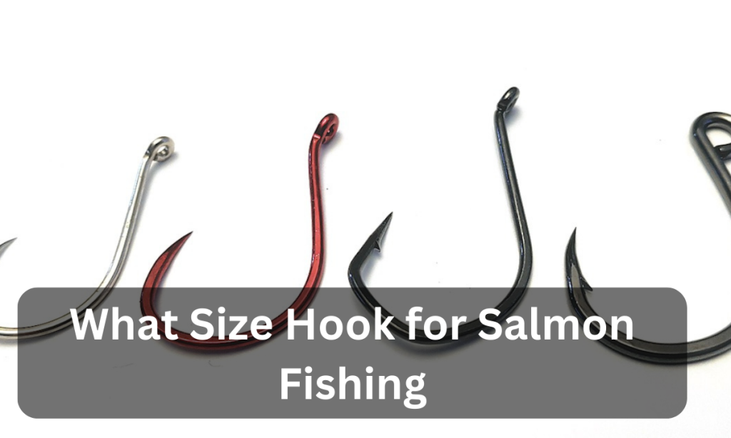 What Size Hook for Salmon Fishing