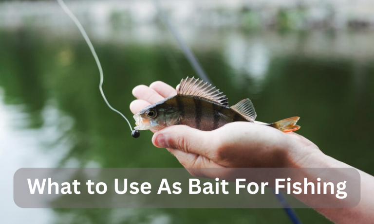What to Use As Bait For Fishing