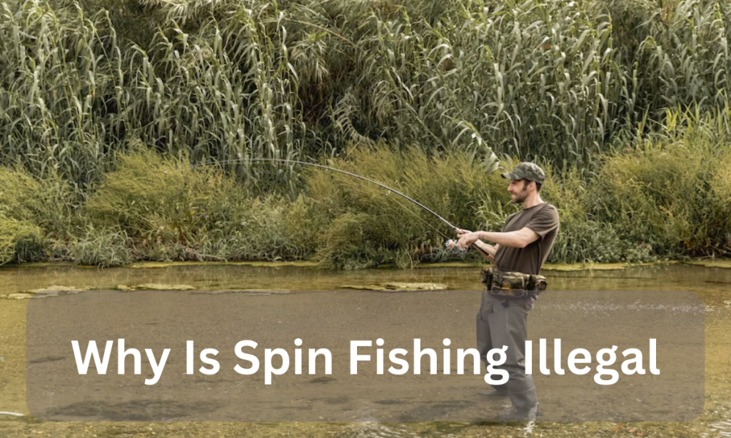 Why Is Spin Fishing Illegal