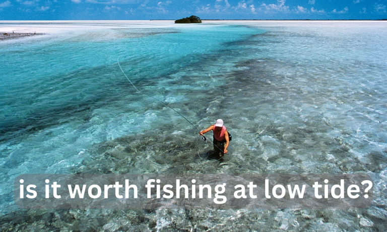 Is It Worth Fishing at Low Tide