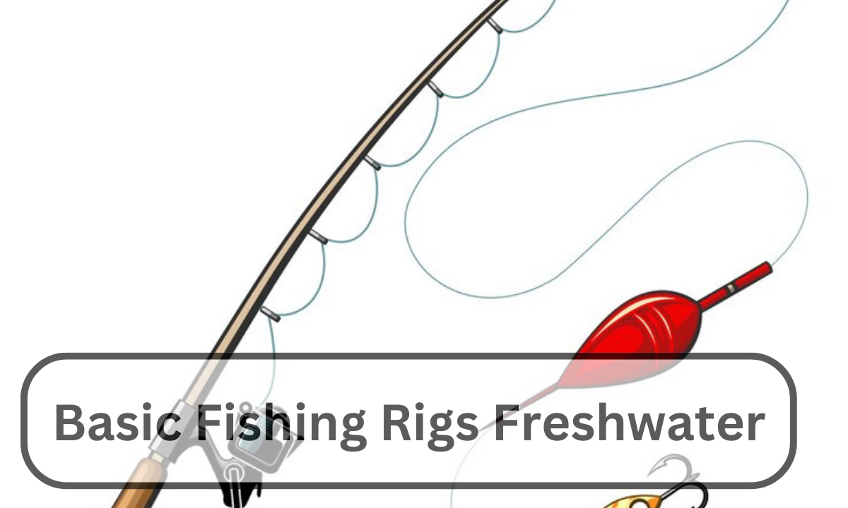 Basic Fishing Rigs Freshwater | 10 Unlimited Guides