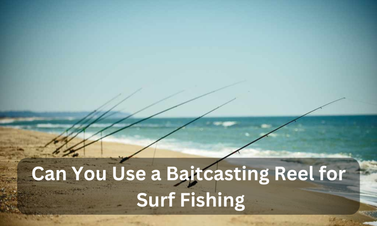 Can You Use a Baitcasting Reel for Surf Fishing
