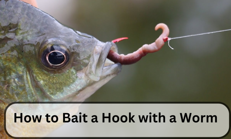 How to Bait a Hook with a Worm