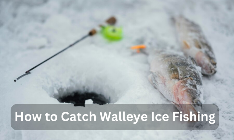 How to Catch Walleye Ice Fishing