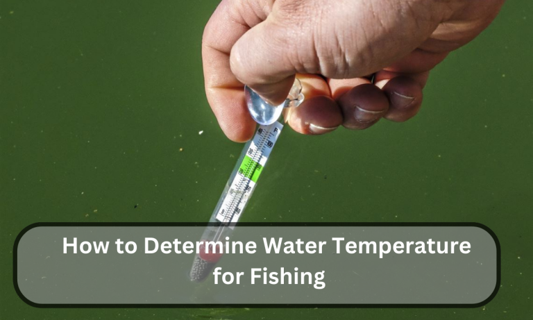 How to Determine Water Temperature for Fishing