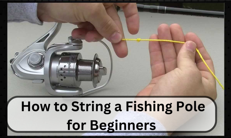  How to String a Fishing Pole for Beginners