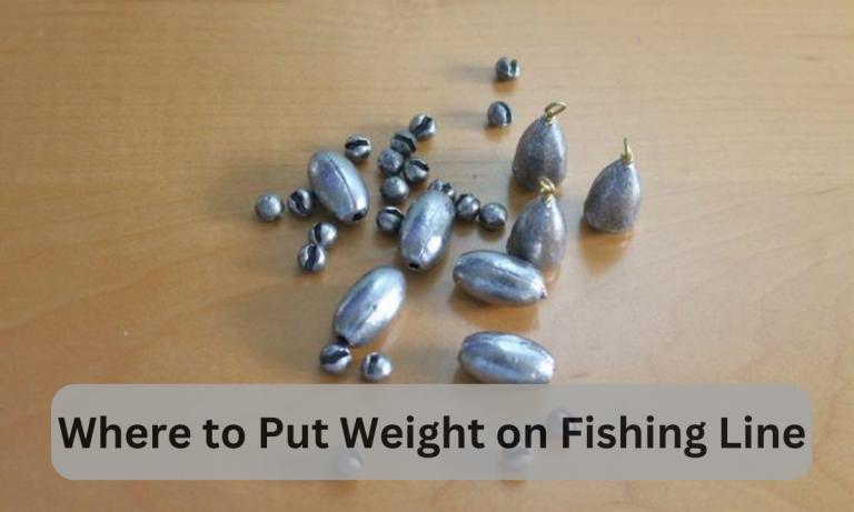 Where to Put Weight on Fishing Line