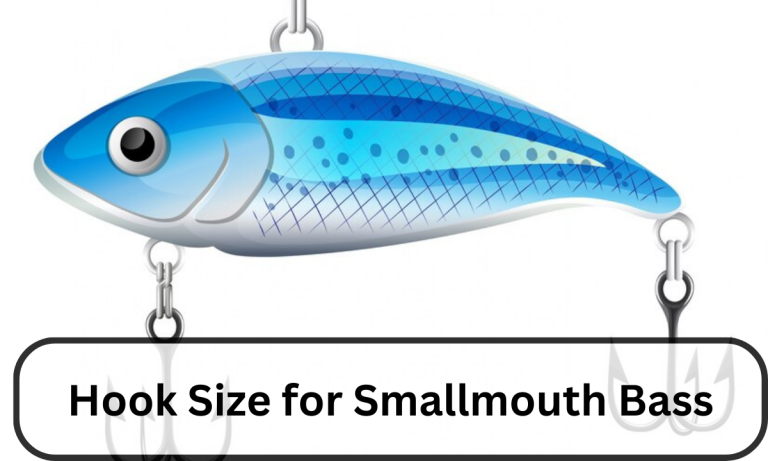 Hook Size for Smallmouth Bass