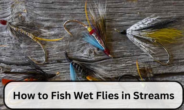 How to Fish Wet Flies in Streams