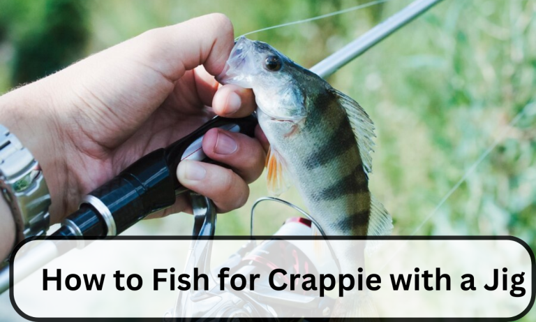   How to Fish for Crappie with a Jig