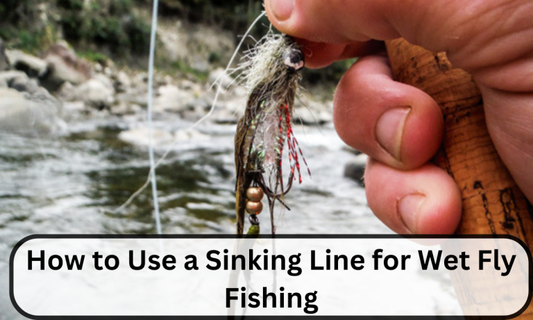 How to Use a Sinking Line for Wet Fly Fishing