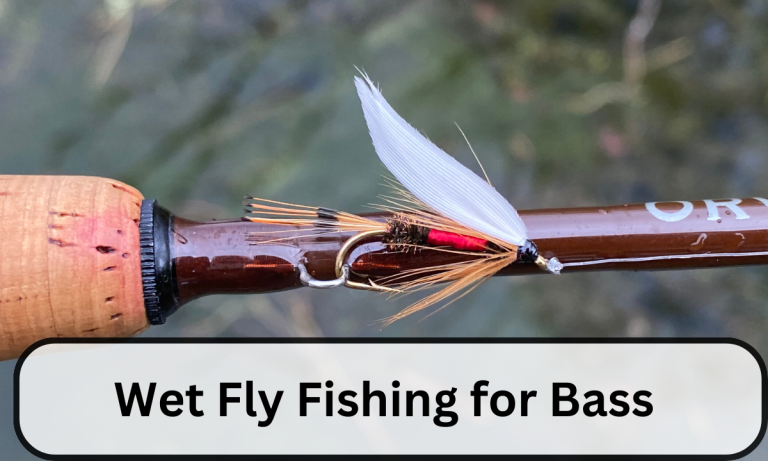 Wet Fly Fishing for Bass