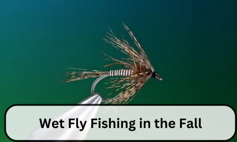 Wet Fly Fishing in the Fall