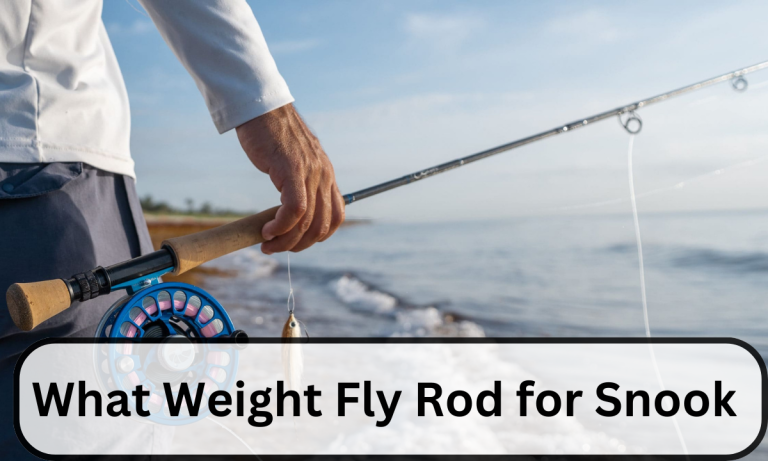 What Weight Fly Rod for Snook