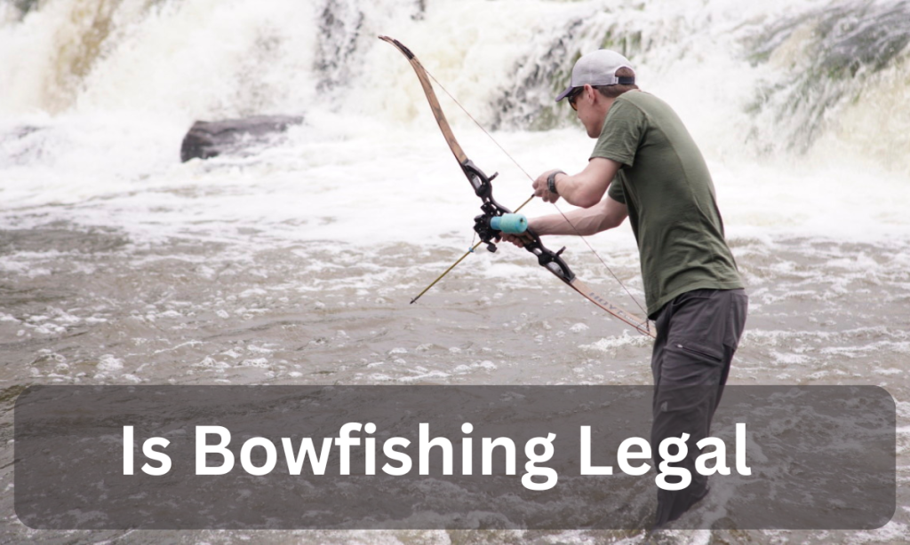 Is Bowfishing Legal