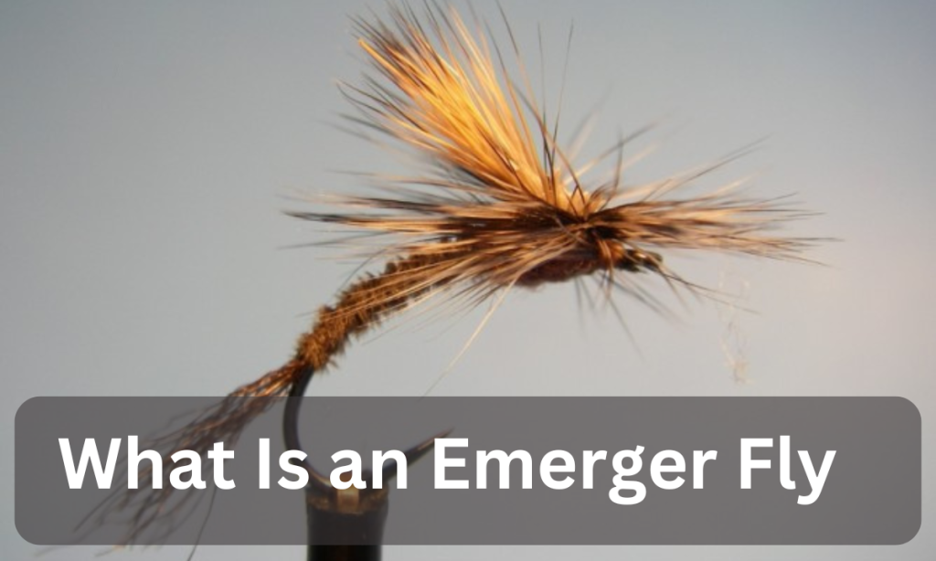 What Is an Emerger Fly